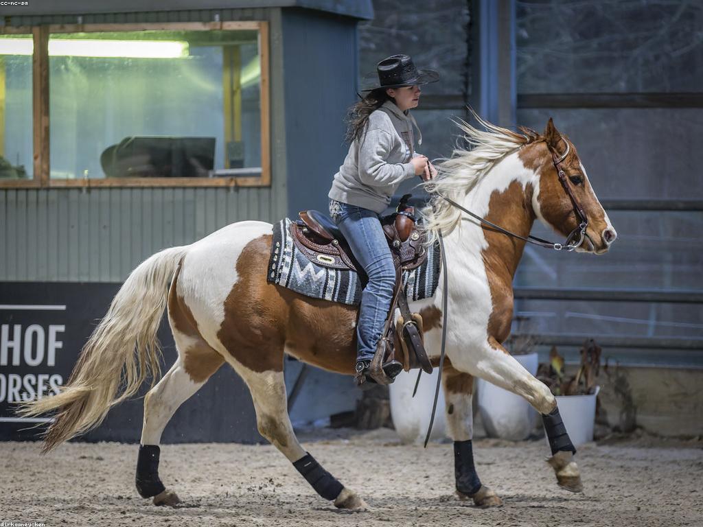 ការប្រកួតជាក់ស្តែង: ពិភពនៃការប្រកួតដ៏ជាក់ស្តែង