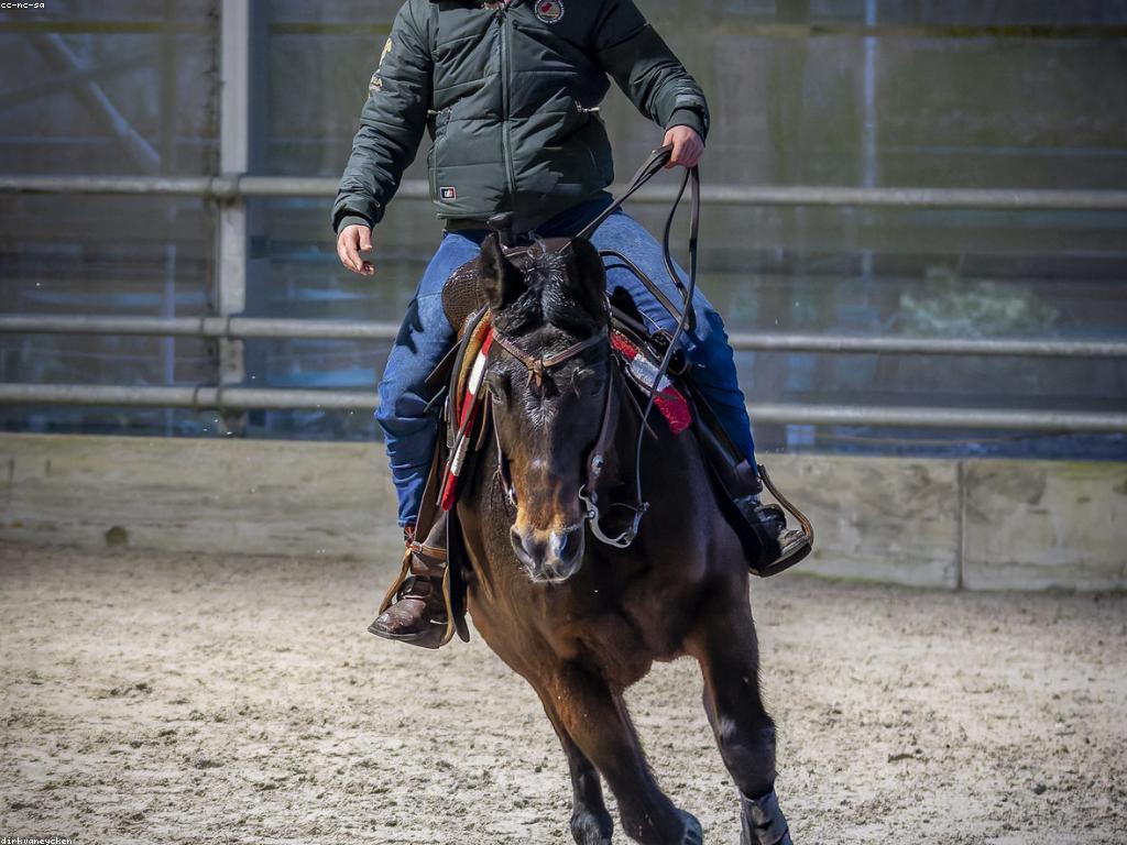 ការប្រកួតជាក់ស្តែង: ពិភពនៃការប្រកួតដ៏ជាក់ស្តែង